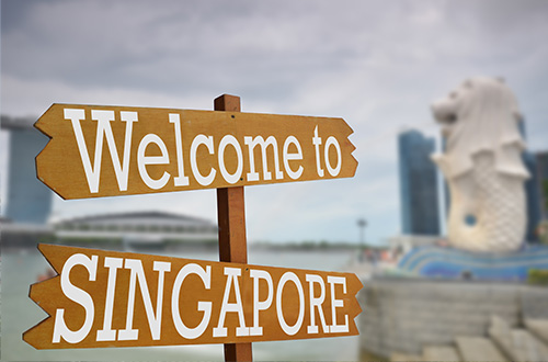 新加坡PIC解析：新加坡家办的平替